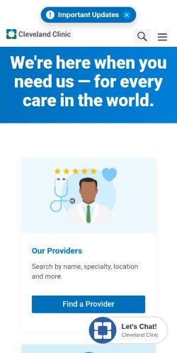 Screenshot of the audited page (Mobile 375×812)