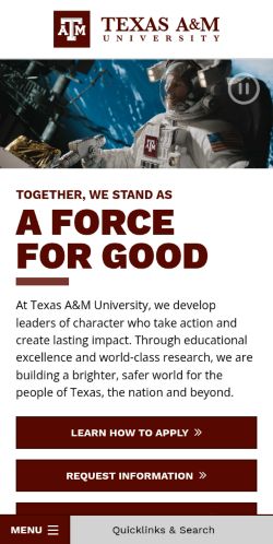 Screenshot of the audited page (Mobile 375×812)