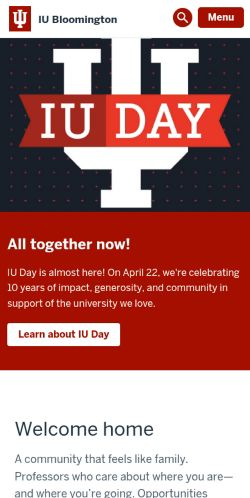 Screenshot of the audited page (Mobile 375×812)