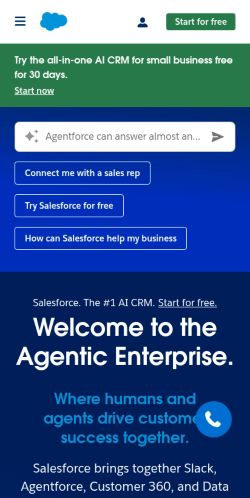 Screenshot of the audited page (Mobile 375×812)