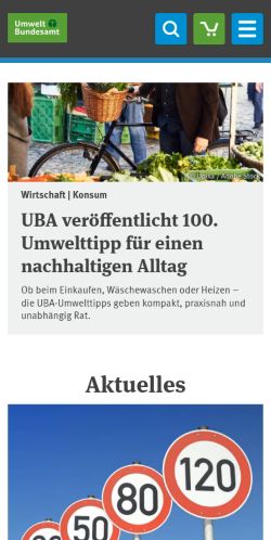 Screenshot of the audited page (Mobile 375×812)