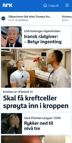 Screenshot of the audited page (Mobile 375×812)