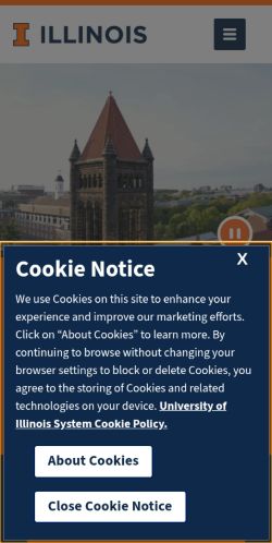 Screenshot of the audited page (Mobile 375×812)