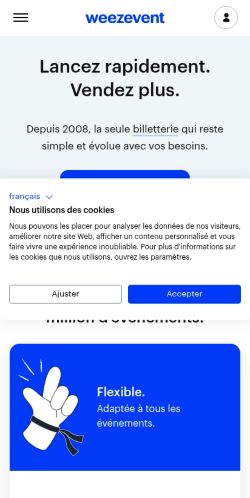 Screenshot of the audited page (Mobile 375×812)