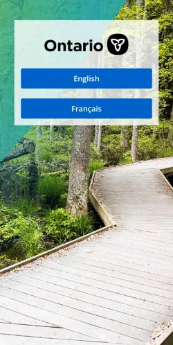 Screenshot of the audited page (Mobile 375×812)