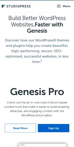 Screenshot of the audited page (Mobile 375×812)