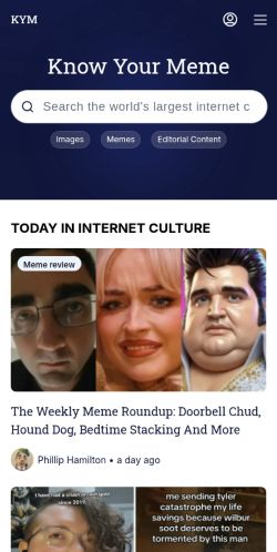 Screenshot of the audited page (Mobile 375×812)