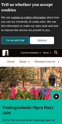 Screenshot of the audited page (Mobile 375×812)