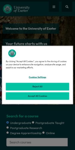 Screenshot of the audited page (Mobile 375×812)
