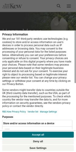 Screenshot of the audited page (Mobile 375×812)