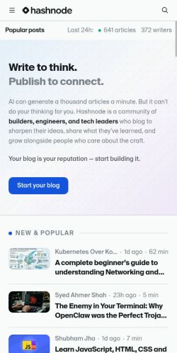 Screenshot of the audited page (Mobile 375×812)