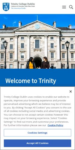 Screenshot of the audited page (Mobile 375×812)