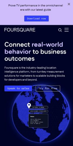 Screenshot of the audited page (Mobile 375×812)