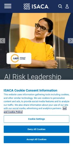Screenshot of the audited page (Mobile 375×812)