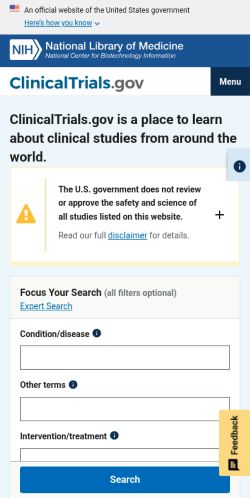 Screenshot of the audited page (Mobile 375×812)