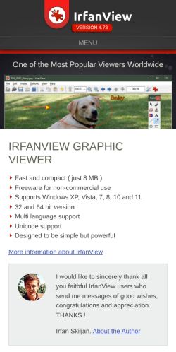Screenshot of the audited page (Mobile 375×812)