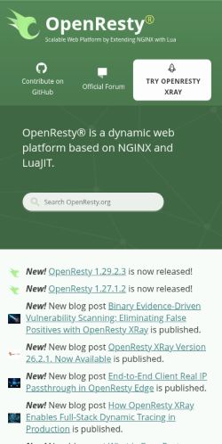 Screenshot of the audited page (Mobile 375×812)