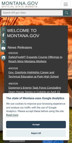 Screenshot of the audited page (Mobile 375×812)