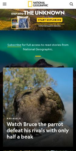 Screenshot of the audited page (Mobile 375×812)