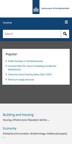 Screenshot of the audited page (Mobile 375×812)