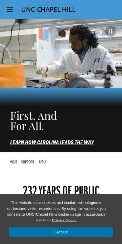 Screenshot of the audited page (Mobile 375×812)