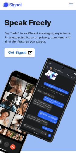 Screenshot of the audited page (Mobile 375×812)
