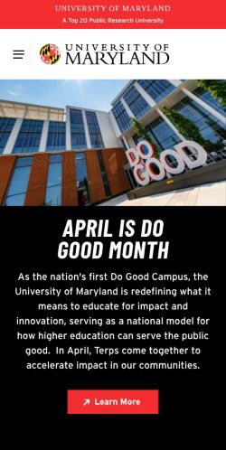 Screenshot of the audited page (Mobile 375×812)