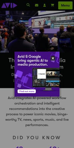 Screenshot of the audited page (Mobile 375×812)