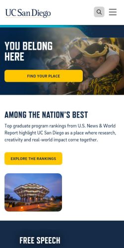 Screenshot of the audited page (Mobile 375×812)