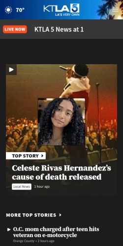 Screenshot of the audited page (Mobile 375×812)