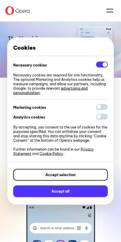 Screenshot of the audited page (Mobile 375×812)