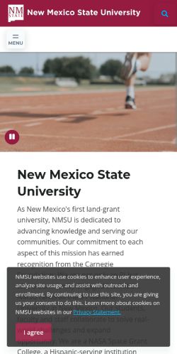 Screenshot of the audited page (Mobile 375×812)