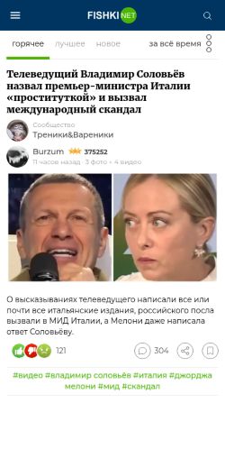 Screenshot of the audited page (Mobile 375×812)