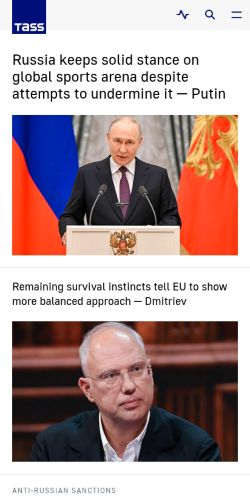 Screenshot of the audited page (Mobile 375×812)