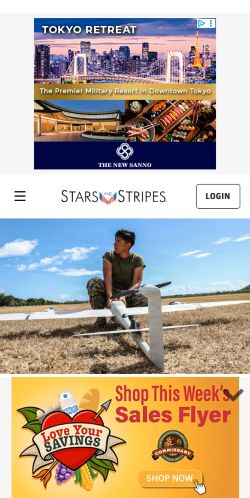 Screenshot of the audited page (Mobile 375×812)