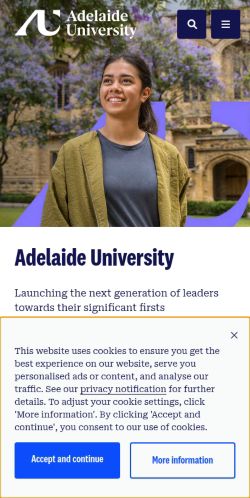 Screenshot of the audited page (Mobile 375×812)