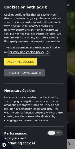 Screenshot of the audited page (Mobile 375×812)