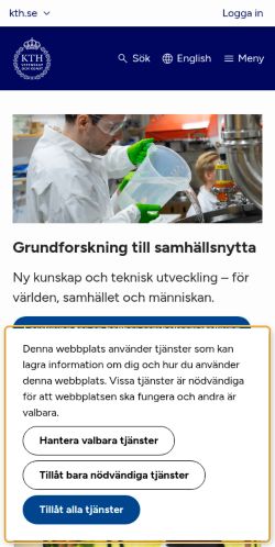 Screenshot of the audited page (Mobile 375×812)