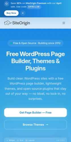 Screenshot of the audited page (Mobile 375×812)