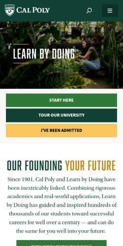 Screenshot of the audited page (Mobile 375×812)
