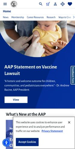 Screenshot of the audited page (Mobile 375×812)