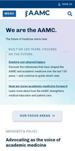 Screenshot of the audited page (Mobile 375×812)