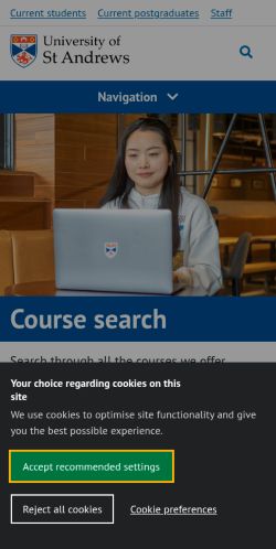 Screenshot of the audited page (Mobile 375×812)