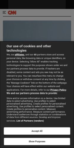 Screenshot of the audited page (Mobile 375×812)