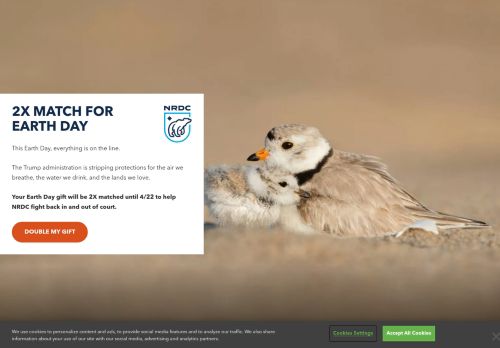 Screenshot of the audited page (Desktop 1440×900)