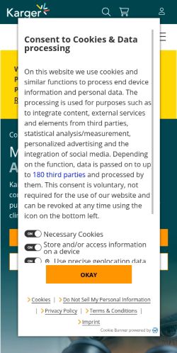 Screenshot of the audited page (Mobile 375×812)