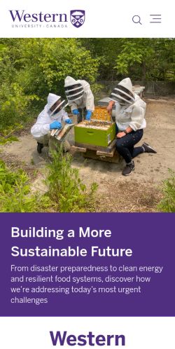 Screenshot of the audited page (Mobile 375×812)