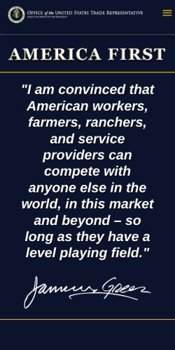 Screenshot of the audited page (Mobile 375×812)