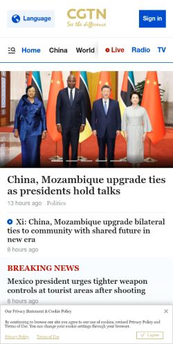 Screenshot of the audited page (Mobile 375×812)