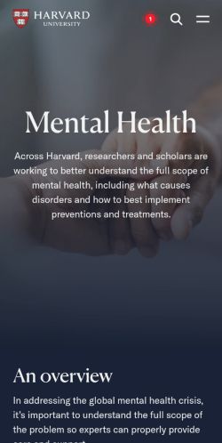 Screenshot of the audited page (Mobile 375×812)